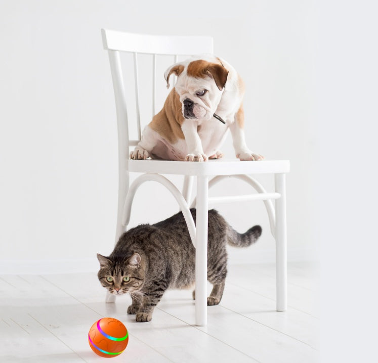 Cat Self Rotating Ball Toys