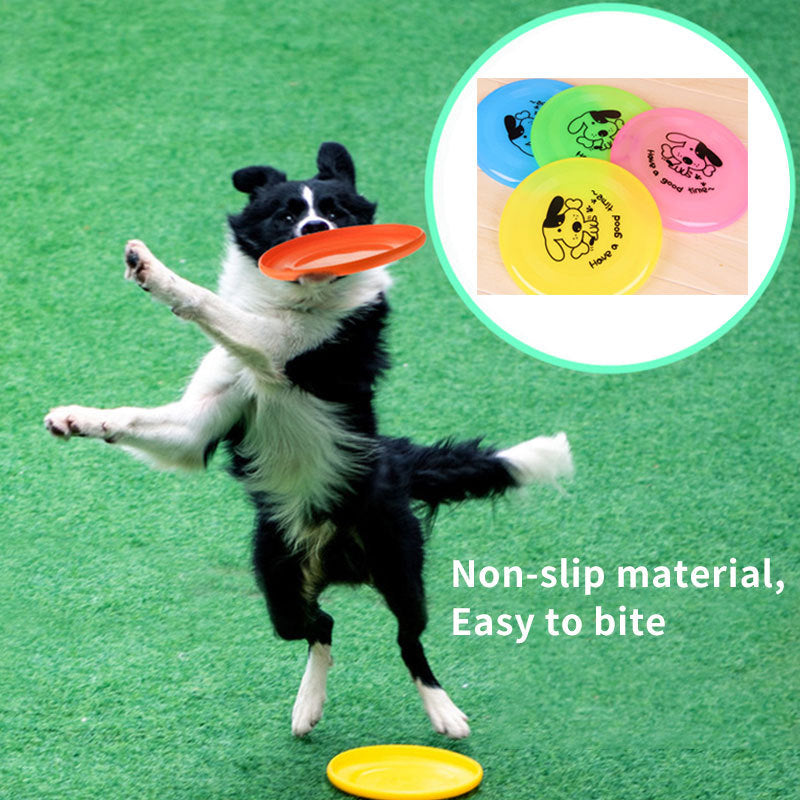 Outdoor Training Interactive Toys